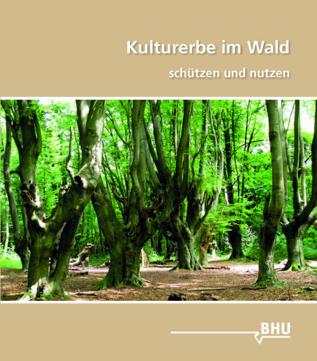 Kulturerbe im Wald - schützen und nutzen