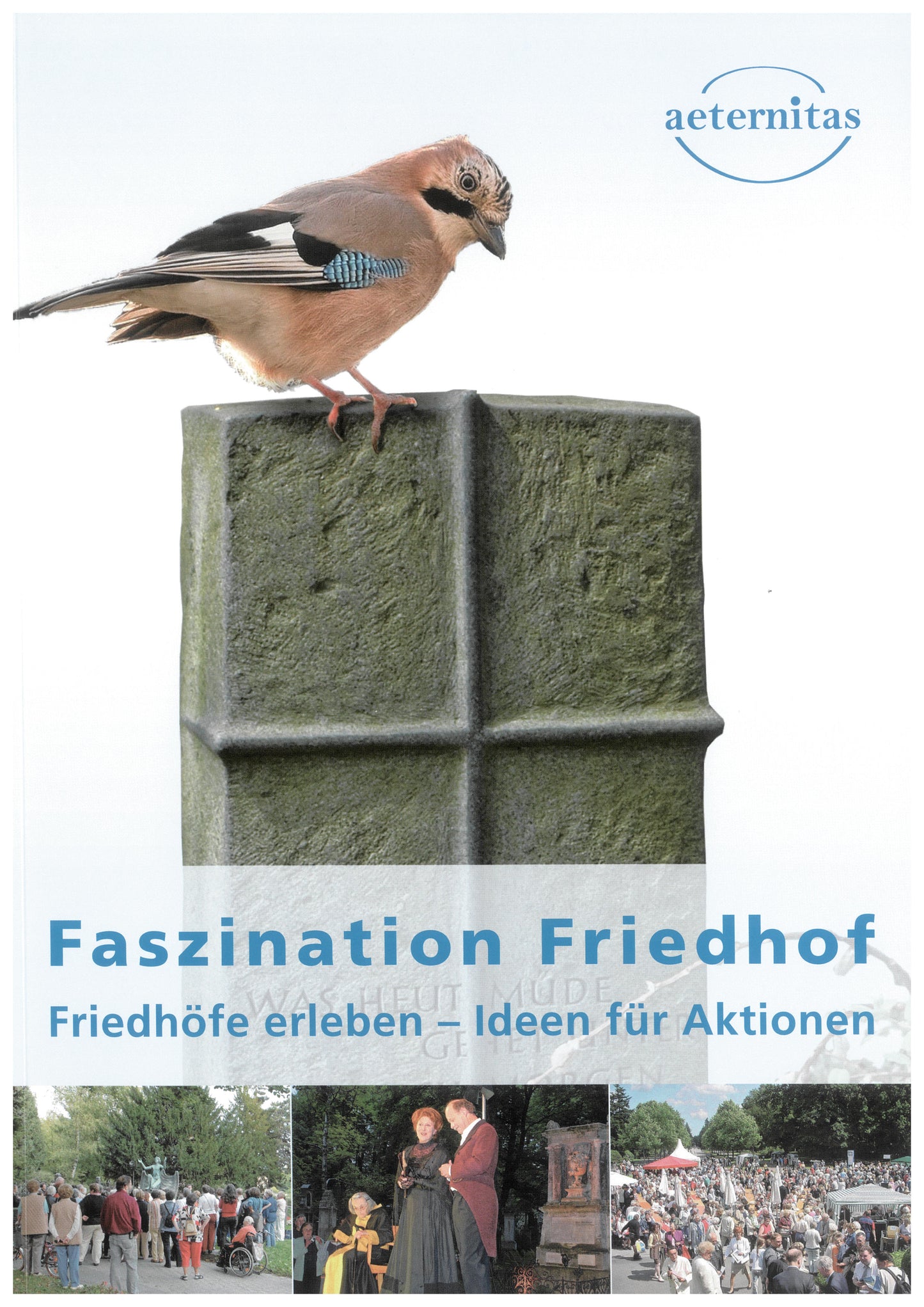 Faszination Friedhof - Friedhöfe erleben - Ideen für Aktionen